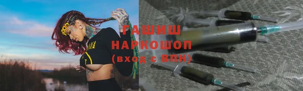 гашик Новозыбков