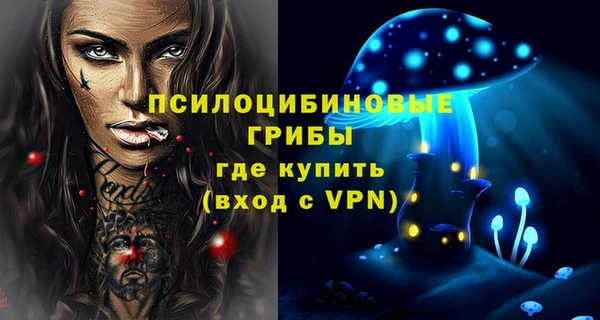 дмт Новодвинск