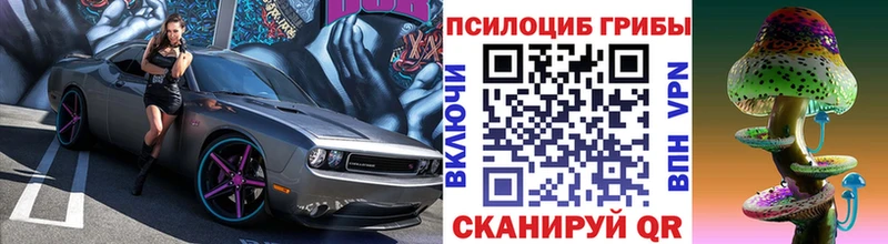 магазин продажи наркотиков Покровск Галлюциногенные грибы Cubensis